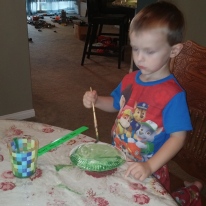 Tahoe starts his sea turtle project by painting a paper plate.