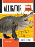 alligator-animal-superpowers